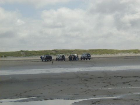 1994 Ford Explorer - Group of SUVs gathered on a sandy beach with a dog nearby.