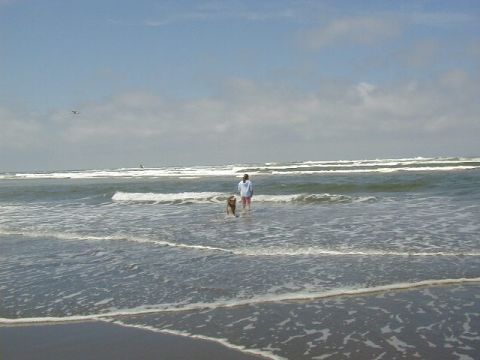 1994 Ford Explorer - A person and their dog enjoy a day at the beach, wading into the ocean waves.