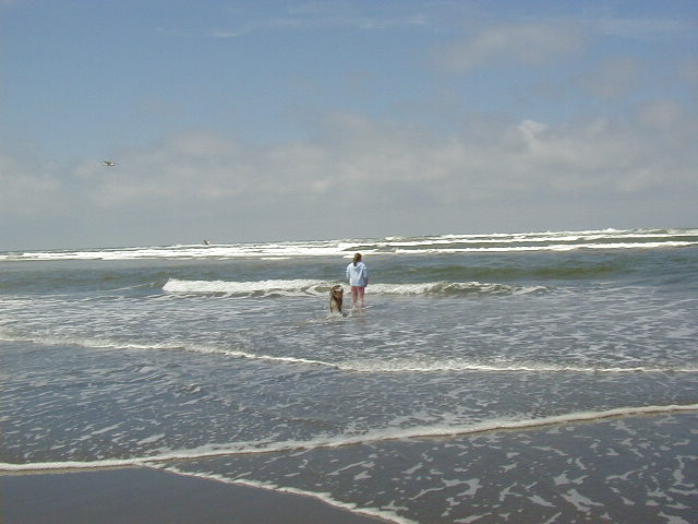 Person and dog standing in shallow surf on a wide sandy beach