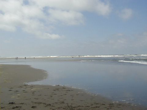 1994 Ford Explorer - A wide view of a beach with people scattered along the shoreline and in the shallow water.