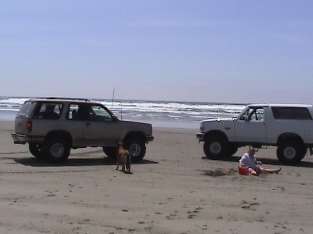 Silver two-door Ford Explorer and white Bronco parked on a beach near the surf