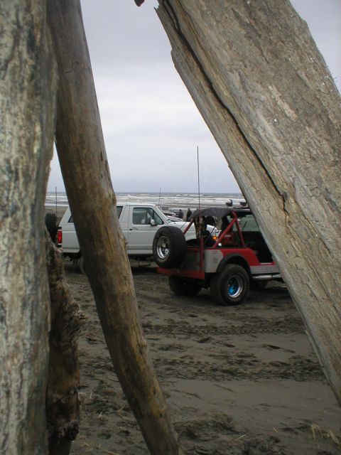 1978 Ford Bronco - Two off-road vehicles are parked on a beach, with driftwood framing the scene.