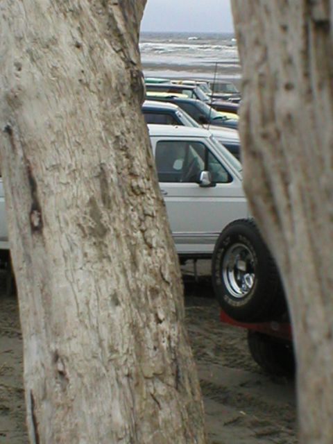 1978 Ford Bronco - Several vehicles are parked on the sand near the ocean, partially obscured by trees.