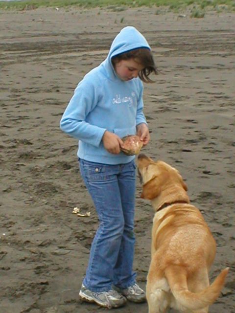 1978 Ford Bronco - A young girl offers a treat to her dog on a cloudy day at the beach.