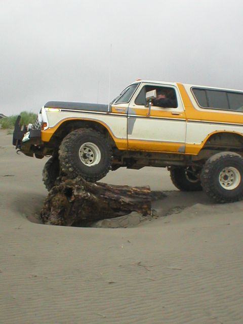 1978 Ford Bronco - A lifted Ford Bronco navigates a sandy beach, with its front tire resting on a large piece of driftwood.
