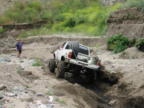 1985 Ford Bronco - Charlie trying to get out