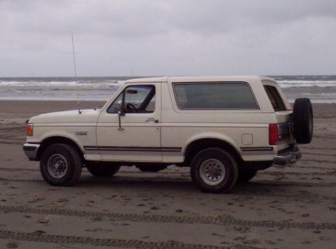 1982 Ford Bronco - Ritch's new Bronco
