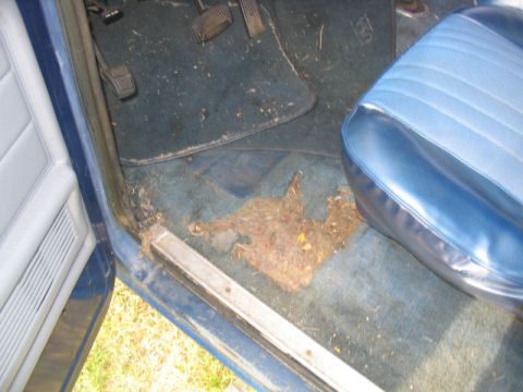 1978 Ford Bronco - The carpeting