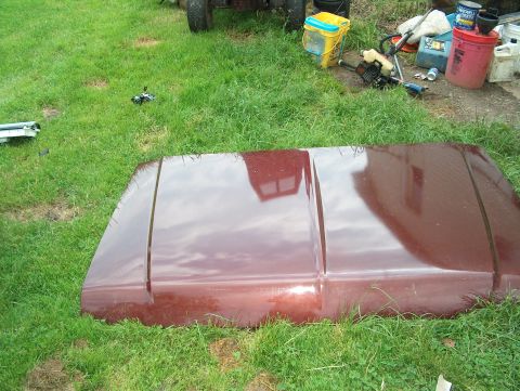 1990 Ford F-150 - A maroon car hood rests on a grassy lawn, with various tools and containers scattered nearby.