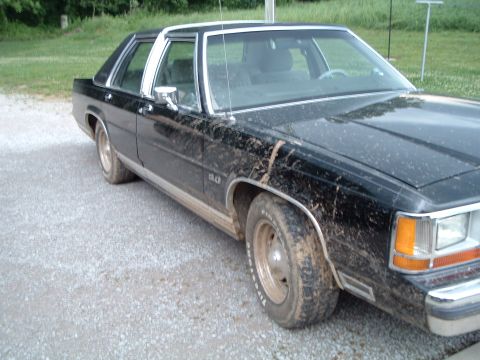 1989 Ford Crown Victoria LTD - Muddy