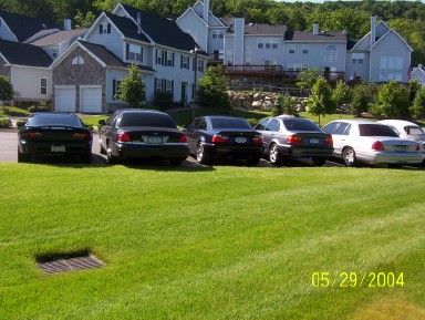 1999 Ford Crown Victoria - A row of sedans are parked on a grassy area in front of a residential neighborhood.