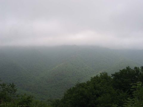 1995 Ford Bronco - A hazy view of rolling, tree-covered mountains on an overcast day.