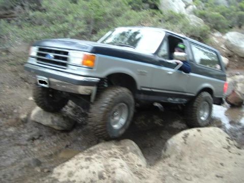 1989 Ford Bronco - yes, they are a little blurry