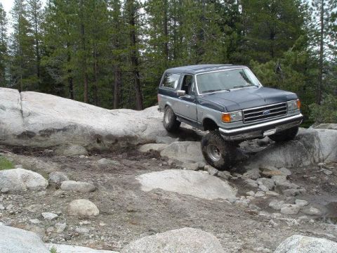 1989 Ford Bronco - wikked sik flex dude bro