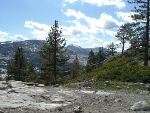 1989 Ford Bronco - A scenic view of a mountainous area with scattered rocks and pine trees under a partly cloudy sky.
