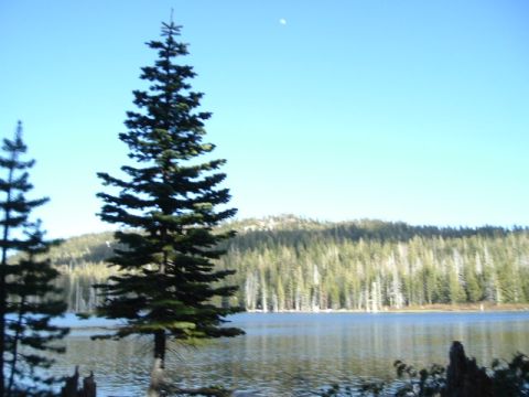 1989 Ford Bronco - A lake is surrounded by a dense forest under a clear blue sky.
