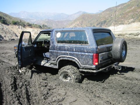 1985 Ford Bronco - Stuck again