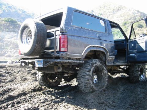 1985 Ford Bronco - i'm free!
