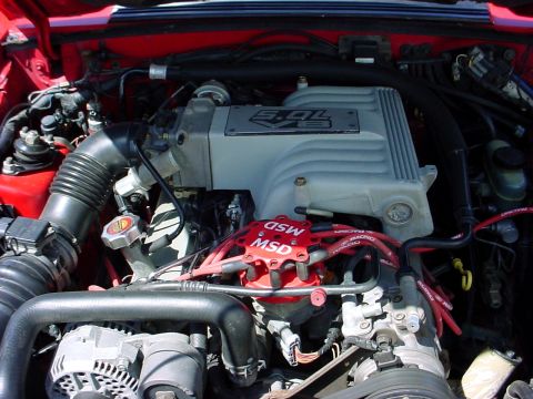 1973 Ford Ranchero - Close-up view of a 5.0L V8 engine bay, an MSD ignition system and intake manifold.