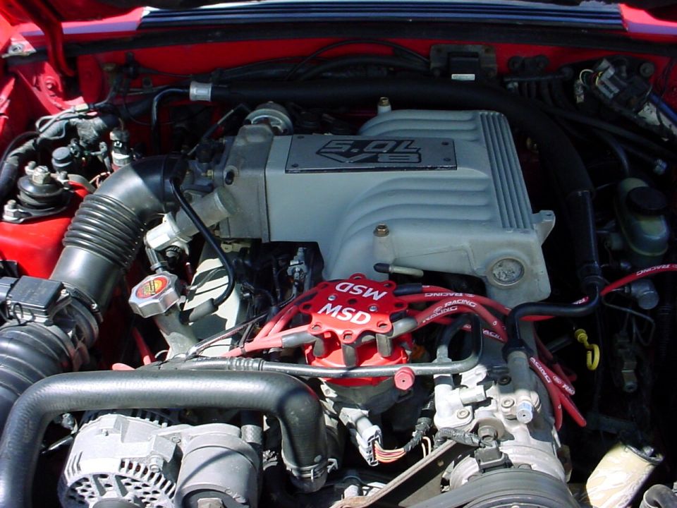 Ford 5.0L V8 engine bay with red MSD distributor and MSD Racing plug wires