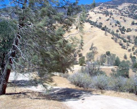 1988 Ford Bronco - A dirt road winds through a dry, hilly landscape dotted with trees and brush under a clear blue sky.