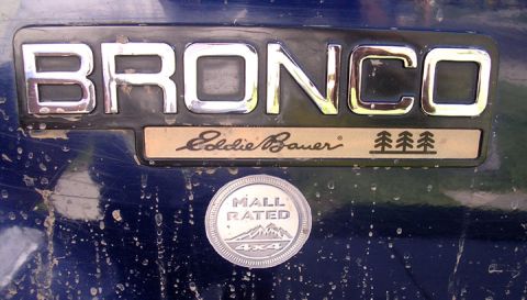 1994 Ford Bronco - I worked hard for this rating.