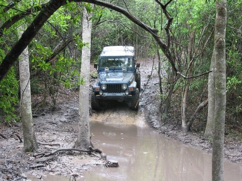2002 Jeep Wrangler - A blue 2002 Jeep Wrangler drives through a muddy path surrounded by trees.