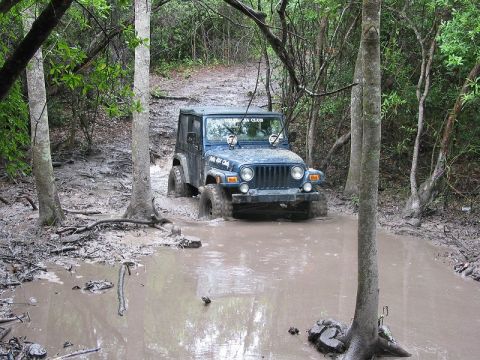 2002 Jeep Wrangler - A blue 2002 Jeep Wrangler is shown driving through a muddy obstacle on a wooded trail.