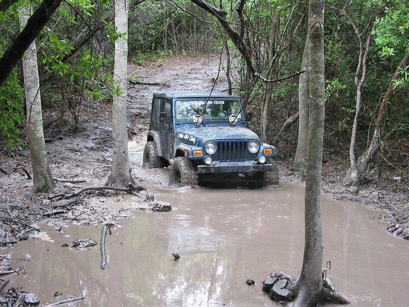 Dark blue Jeep Wrangler TJ with soft top wading a muddy water hole on a wooded trail