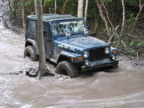 2002 Jeep Wrangler - A blue Jeep Wrangler is stuck in a muddy trail surrounded by trees.