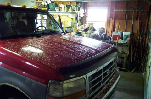 1995 Ford Bronco - Big Foot Bug deflector