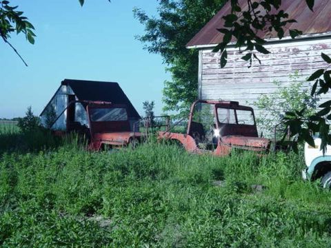 1992 Ford Bronco - Two vintage jeeps are overgrown with weeds in a rural setting, with a barn in the background.