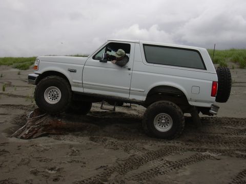 1991 Ford Bronco - Alvey posin