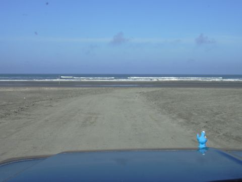 1991 Ford Bronco - The weather was awesome on Sunday