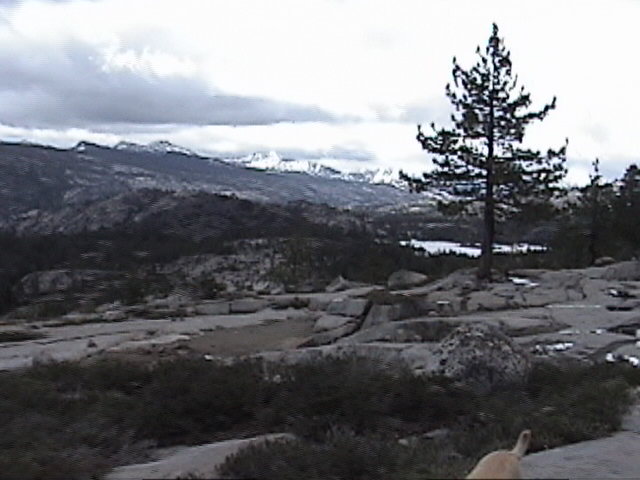 view of Buck Lake