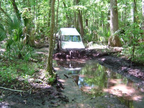 1993 Ford Bronco - Head-on view of a mud-caked white two-door SUV climbing out of a water-filled mud hole on a narrow wooded trail, water still streaming off…