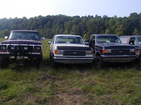 1988 Ford Bronco - Three Ford trucks and SUVs are parked in a grassy field with trees in the background.