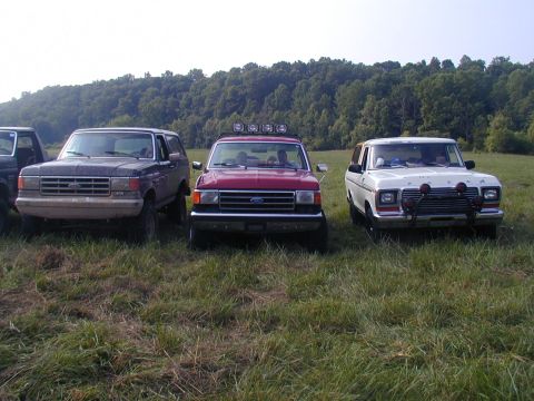 1988 Ford Bronco - Three Ford Broncos are lined up in a grassy field, with a wooded area behind them.