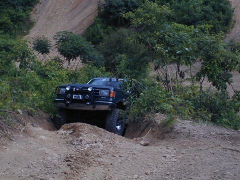 1988 Ford Bronco - This SUV is tackling a challenging off-road trail, surrounded by dense vegetation and uneven terrain.
