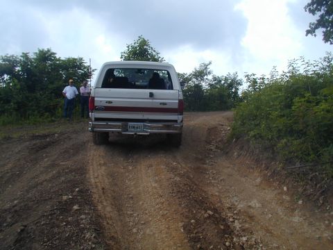1988 Ford Bronco - A white Ford Bronco drives on a dirt path surrounded by trees under a cloudy sky.