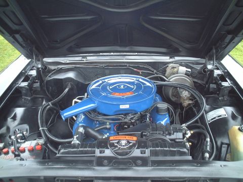 1967 Ford Galaxie - Engine bay of a 1967 Ford Galaxie, a blue air cleaner and V8 engine.