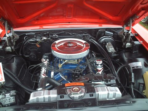 1967 Ford Galaxie - '67 engine compartment
