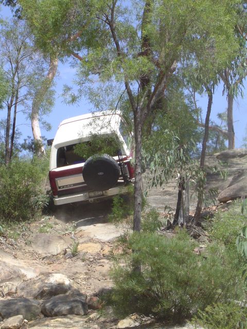 1982 Ford Bronco - Ford Bronco navigates a challenging rocky trail surrounded by trees.