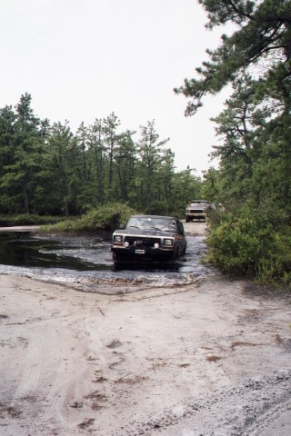 1979 Ford Bronco II
