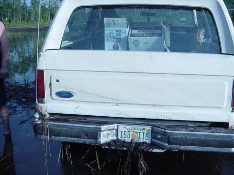 1989 Ford Bronco - nice water line on the back gate