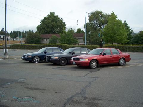 2001 Ford Crown Victoria - Three sedans, likely police vehicles, are parked side-by-side in an outdoor lot under an overcast sky.