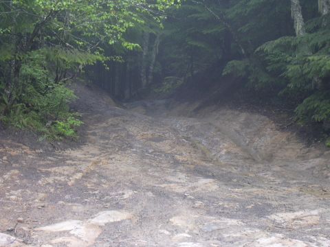 1991 Ford Bronco - A treacherous, muddy trail winds down through a dense, misty forest.
