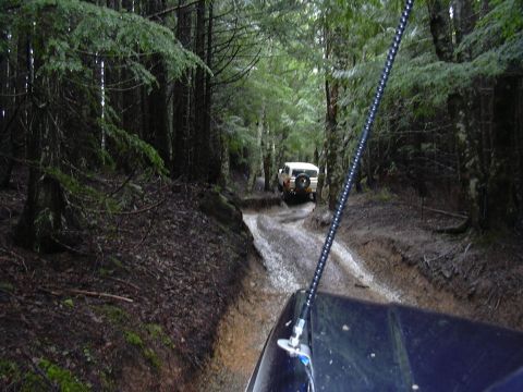 1991 Ford Bronco - Two 4x4 vehicles navigate a challenging muddy path deep within a forest.