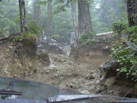 1991 Ford Bronco - The 1991 Ford Bronco navigates a challenging, muddy off-road trail through a dense forest.