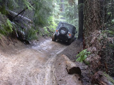 1991 Ford Bronco - A Jeep Wrangler navigates a challenging muddy path through a dense forest.